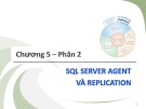 Bài giảng Kiến trúc cài đặt cơ sở dữ liệu - Chương 5 (phần 2): SQL server agent và replication