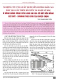 Nghiên cứu ứng suất dưới nền đường đắp cao dẫn vào cầu trên đất yếu và ngập lũ sâu ở Đồng bằng sông Cửu Long khi gia cố đất nền bằng cột đất - ximăng theo cấu tạo được chọn