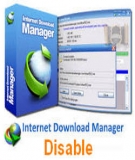 Chỉnh mặc định download và tắt tính năng khởi động cùng Windows của IDM