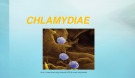 Bài giảng Chlamydiae