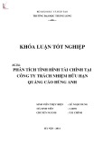 Khóa luận tốt nghiệp chuyên ngành Tài chính: Phân tích tình hình tài chính tại Công ty TNHH Quảng cáo Hùng Anh