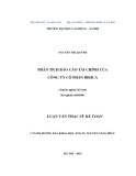 Luận văn Thạc sỹ Kế toán: Phân tích báo cáo tài chính của Công ty Cổ phần Bibica