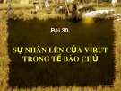 Bài giảng Sinh học 10 phần 3 chương 3 bài 30: Sự nhân lên của virut trong tế bào chủ