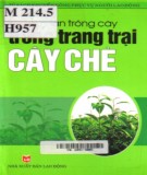  hướng dẫn trồng cây trong trang trại - cây chè: phần 2