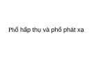 Phổ hấp thụ và phổ phát xạ