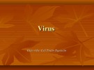 Bài giảng Virus - Lê Trần Nguyễn