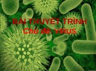 Bài thuyết trình Virus