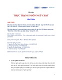 Tiểu luận Thực trạng ngôn ngữ Chat