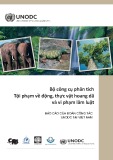 Bộ công cụ phân tích tội phạm về động, thực vật hoang dã và vi phạm lâm luật: Báo cáo của đoàn công tác UNODC tại Việt Nam