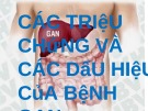 Bài giảng Các triệu chứng và các dấu hiệu của bệnh gan