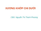 Bài giảng Xương khớp chi dưới - Nguyễn Thị Thanh Phương