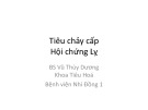 Bài giảng Tiêu chảy cấp, Hội chứng Lỵ - BS. Vũ Thùy Dương