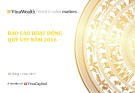 Báo cáo hoạt động quỹ VFF năm 2016