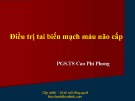 Bài giảng Điều trị tai biến mạch máu não cấp