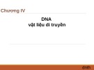 Bài giảng chương 4: DNA Vật liệu di truyền