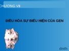 Bài giảng chương 7: Điều hòa sự biểu hiện của gen