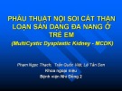 Báo cáo Phẫu thuật nội soi cắt thận loạn sản dạng đa nang ở trẻ em