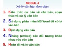 Ôn tập Tin học cơ bản: Modul 4 - ThS. Võ Minh Đức