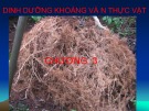 Bài giảng Sinh lý học thực vật - Chương 3: Dinh dưỡng khoáng và thực vật