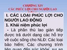 Bài giảng Quản trị nhân lực nâng cao: Chương 14 - TS. Nguyễn Tiến Mạnh