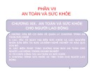 Bài giảng Quản trị nhân lực nâng cao: Chương 19 - TS. Nguyễn Tiến Mạnh