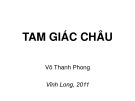 Bài giảng Thổ nhưỡng: Chương Tam giác châu - Võ Thanh Phong