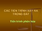 Bài giảng Thổ nhưỡng: Chương Các tiến trình xảy ra trong đất (tt) - Võ Thanh Phong