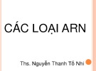 Bài giảng Các loại ARN - ThS. Nguyễn Thanh Tố Nhi