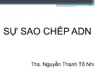 Bài giảng Sự sao chép ADN - ThS. Nguyễn Thanh Tố Nhi