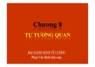 Bài giảng Kinh tế lượng: Chương 8 - Th.S Phạm Văn Minh