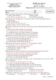 Đề kiểm tra HK 1 môn Lịch sử lớp 12 năm 2017-2018 - THPT Lương Ngọc Quyến - Mã đề 003