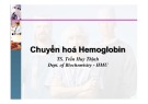 Bài giảng Chuyển hoá Hemoglobin - TS. Trần Huy Thịnh