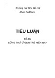 Tiểu luận: Sống thử ở giới trẻ hiện nay