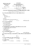 Đề thi lý thuyết bảng B môn Tin học tỉnh Kiên Giang năm 2015 - Mã đề 169