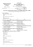 Đề thi lý thuyết bảng C2 môn Tin học tỉnh Kiên Giang năm 2015 - Mã đề 246