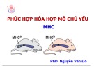 Bài giảng Phức hợp hòa hợp mô chủ yếu MHC - PhD. Nguyễn Văn Đô