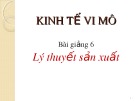 Bài giảng Kinh tế vi mô: Chương 6 - Lê Phương