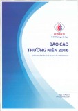 Báo cáo thường niên 2016: Công ty Cổ phần xuất nhập khẩu Y tế Domesco