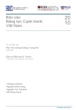 Báo cáo Năng lực Cạnh tranh Việt Nam 2010