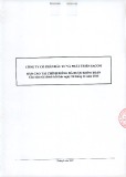 Báo cáo tài chính riêng đã được kiểm toán - Công ty Cổ phần đầu tư và phát triển Sacom