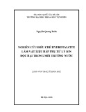 Tóm tắt Luận văn Thạc sĩ Khoa học: Nghiên cứu điều chế hydrotalcite làm vật liệu hấp phụ xử lý ion độc hại trong môi trường nước