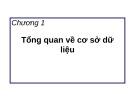 Bài giảng môn học Cơ sở dữ liệu - Chương 1: Tổng quan về cơ sở dữ liệu