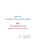 Tiểu luận tổ chức lao động khoa học: Thực trạng điều kiện lao động tại Công ty TNHH Cơ khí Tam Mao
