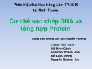 Bài giảng Di truyền thực vật - Nhóm 6: Cơ chế sao chép DNA và tổng hợp Protein