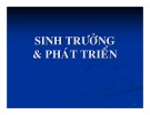 Bài giảng Sinh lý thực vật - Bài 2: Sinh trưởng và phát triển