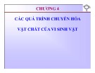 Bài giảng Vi sinh thực phẩm: Chương 4 - Trần Thị Huyền