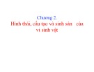 Bài giảng Vi sinh thực phẩm: Chương 2 - Trần Thị Huyền