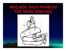 Bài giảng Vệ sinh an toàn thực phẩm: Chương 3 - ThS. Văn Hồng Thiện