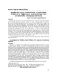 Nghiên cứu chỉ số kháng insulin và chức năng tế bào beta ở bệnh nhân bệnh khớp mạn tính có hội chứng Cushing do corticoid