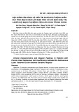 Đặc điểm lâm sàng và siêu âm doppler ở bệnh nhân suy tĩnh mạch hiển lớn mạn tính có chỉ định điều trị laser nội mạch tại Bệnh viện Lão khoa Trung ương